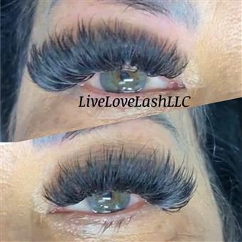 Lashes LLC  Palm Coast FL